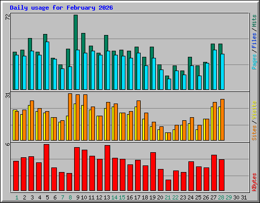 Daily usage for February 2026
