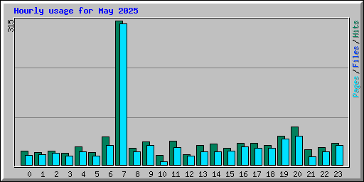 Hourly usage for May 2025