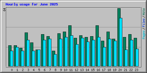 Hourly usage for June 2025