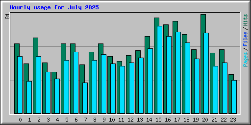 Hourly usage for July 2025
