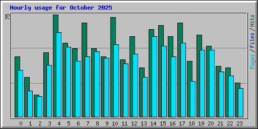 Hourly usage for October 2025