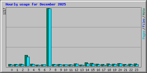 Hourly usage for December 2025