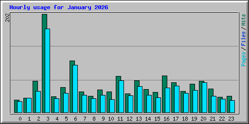 Hourly usage for January 2026