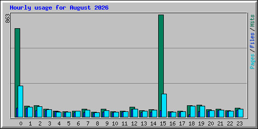Hourly usage for August 2026